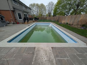 Neglected pool in need of a vinyl liner replacement & installation