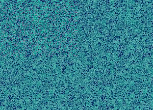 ING-Floor_0000_2023-TerrazzoCaribbean-FL-20-27M-thumb