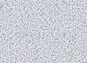 ING-Floor_0011_2023-CrystalQuartz-FL-27M-thumb-1